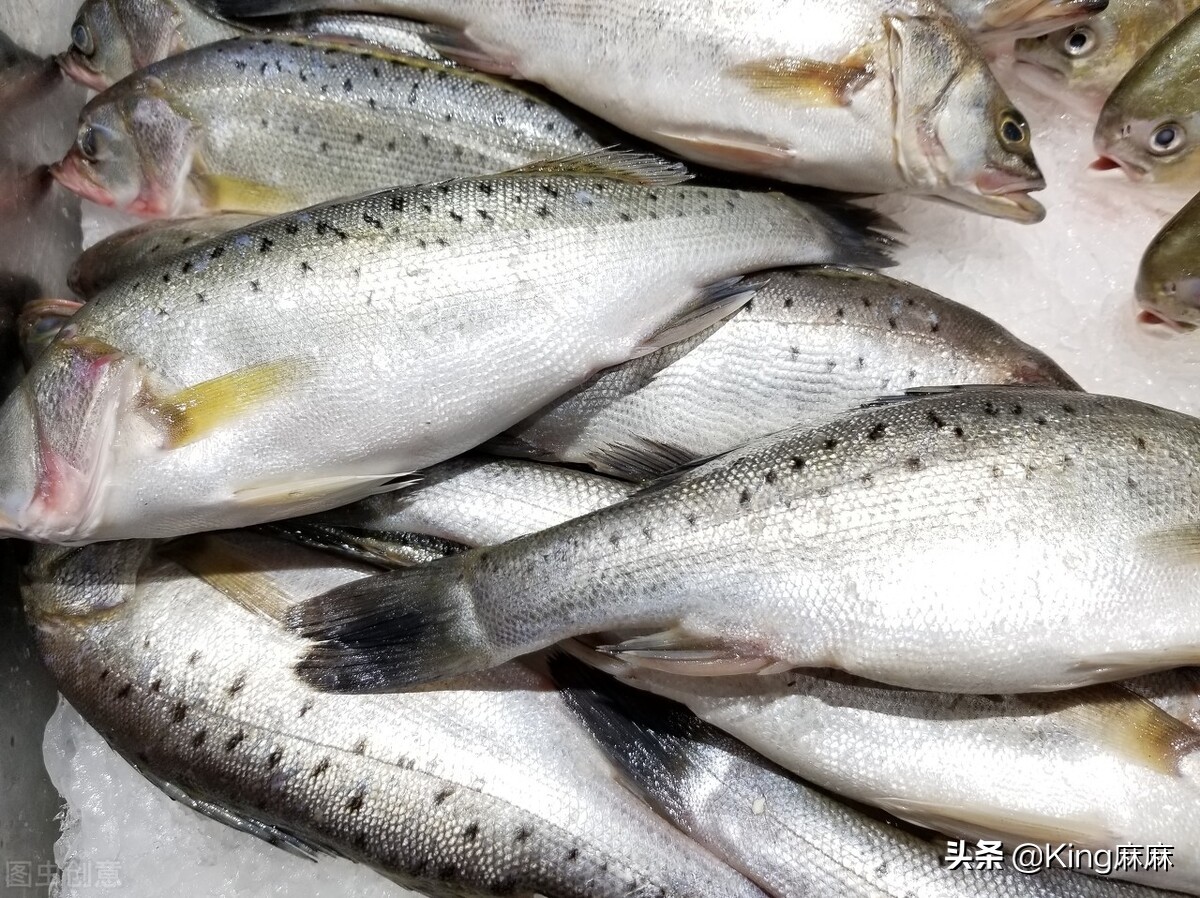 买鲈鱼雄的好还是雌的好,买鲈鱼要不要杀