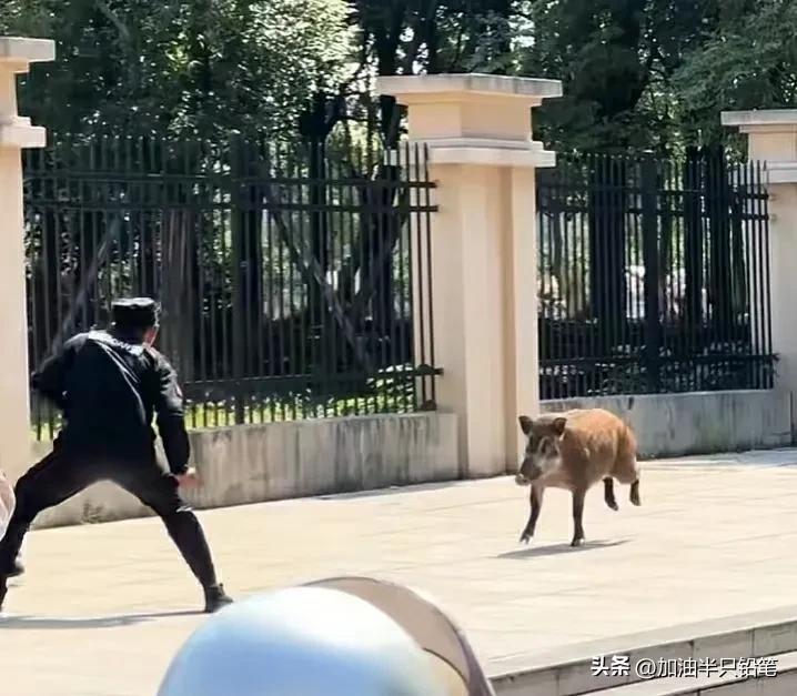 小区保安保证业主安全,小区保安有义务保护业主安全吗