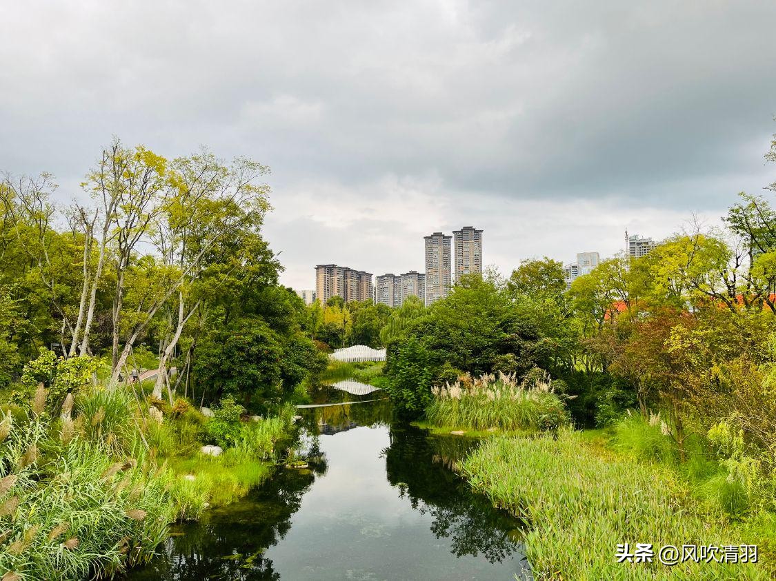 成都免费最适合夜晚的公园,成都城区公园游玩