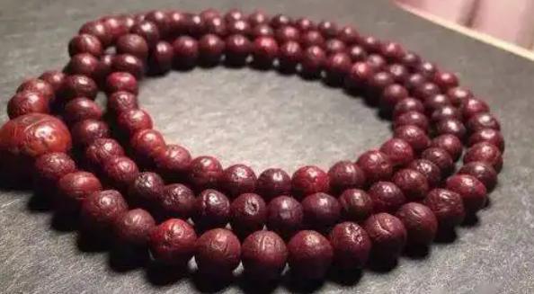 凤眼菩提基本知识新手须知,凤眼菩提正确手法