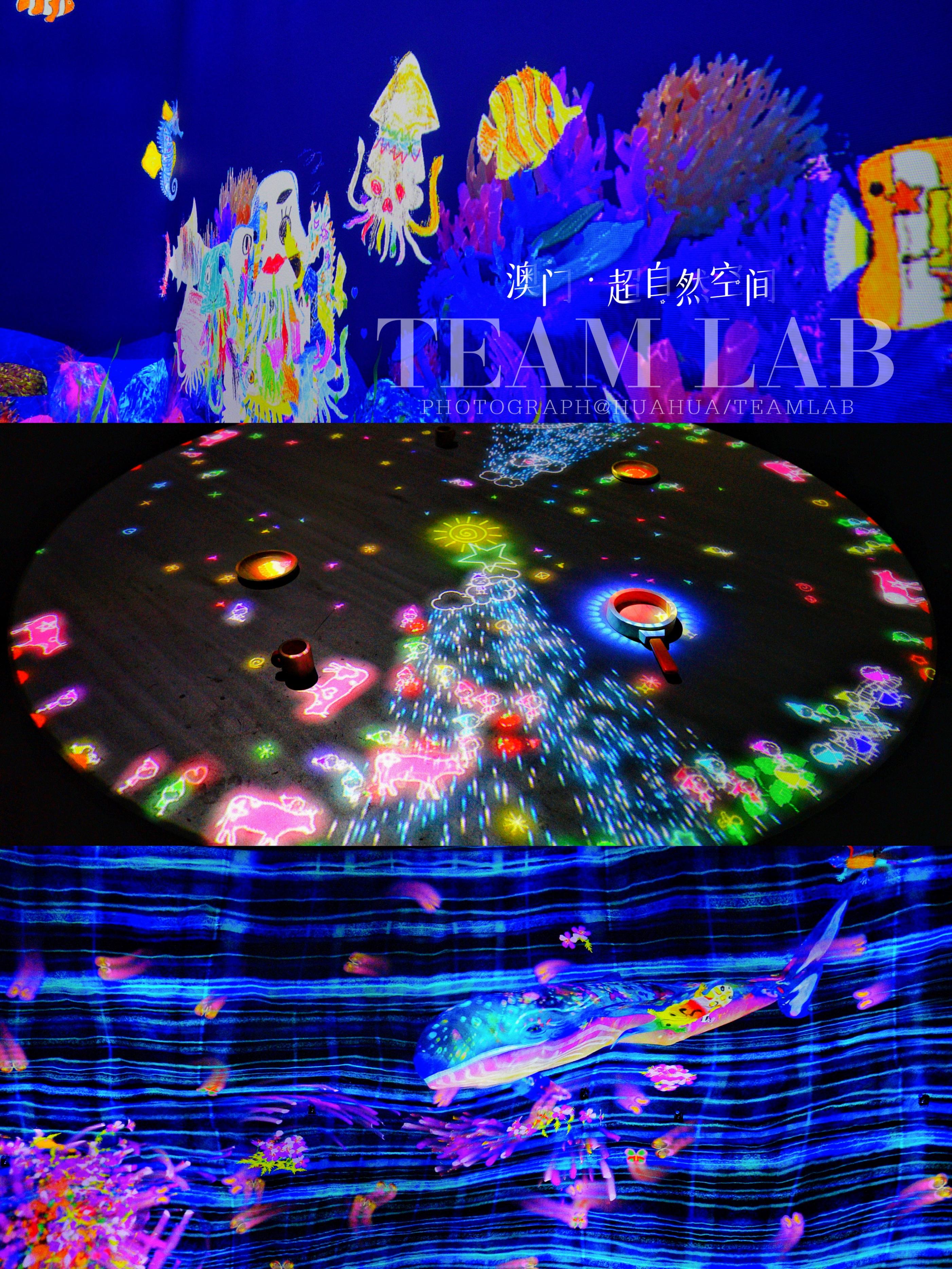 游澳门攻略,澳门旅游攻略自由行五天4晚