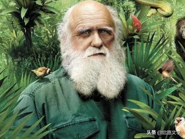 珍惜时间的达尔文经典语录,达尔文关于自然之道的名言名句