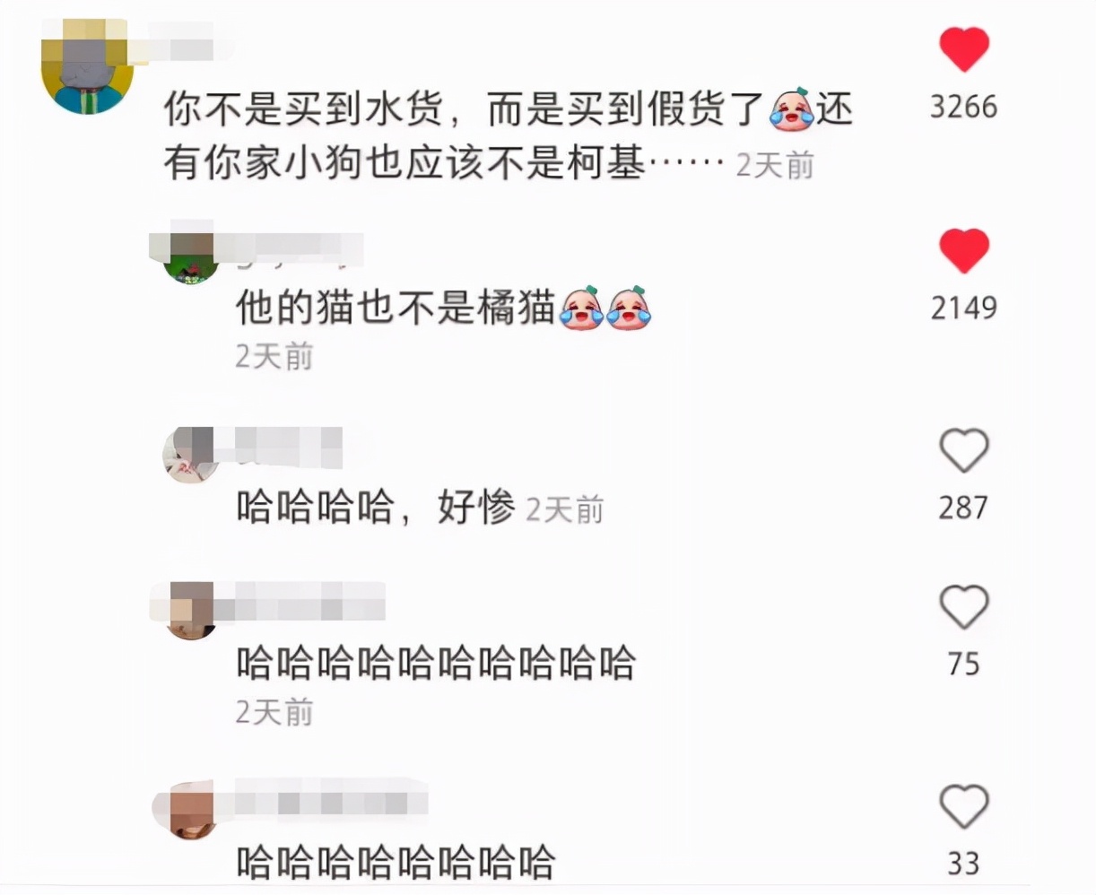 家庭监控下的一幕真实视频完整版,家庭监控下的真实一幕