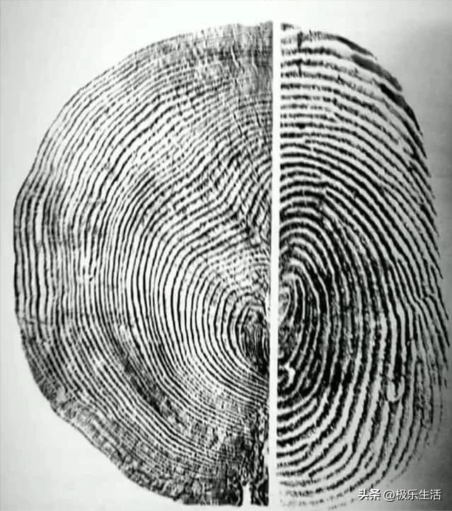 罕见的28张图片看了让人大开眼界,令人大开眼界的二十张图