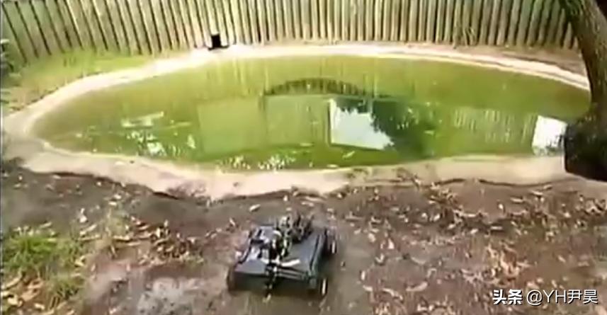 这是真的吗？当人被鳄鱼追赶时，z字型逃跑能快速摆脱鳄鱼