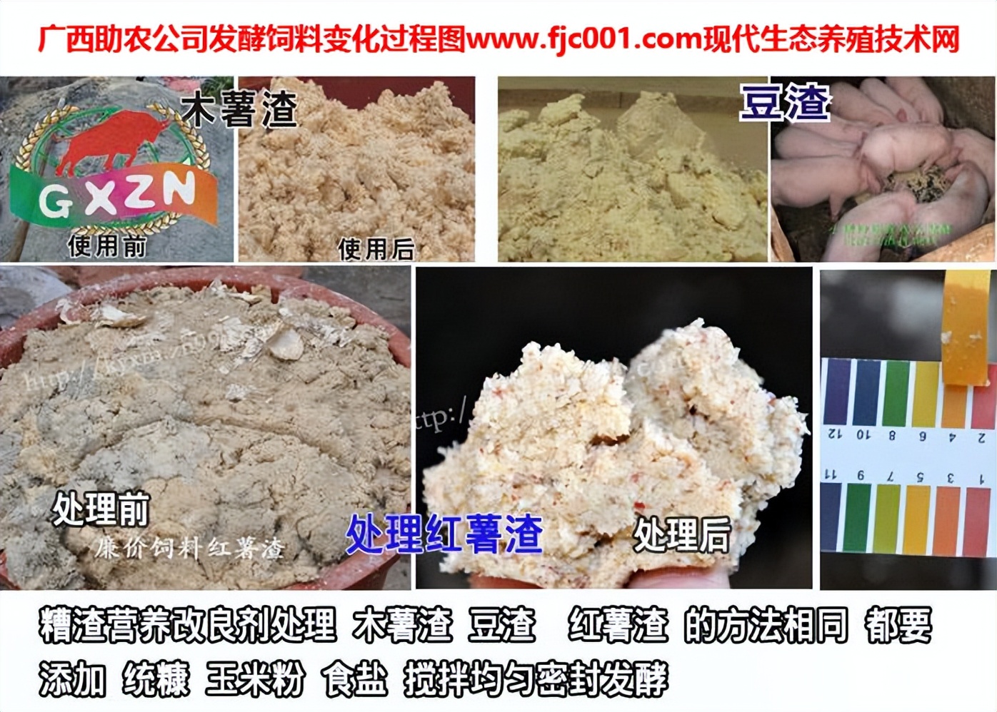 加强型活力99生酵剂—以高浓度乳酸菌，更好用的专业益生菌发酵剂