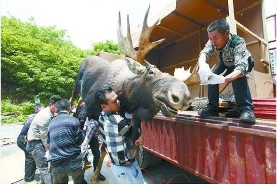 神奇动物中的山海经神兽有哪些,神奇动物中国山海经神兽