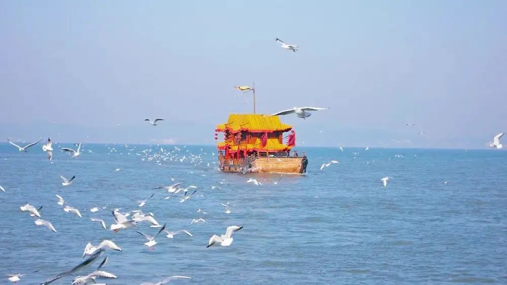 @所有人，三城年卡史上最低价！单人、亲子、家庭通通都有