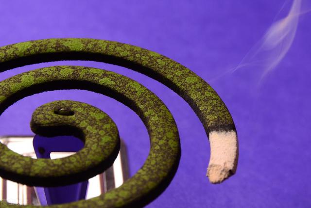 夏天蚊子太多教你一招解决,家里蚊子多不用慌教你个土方法