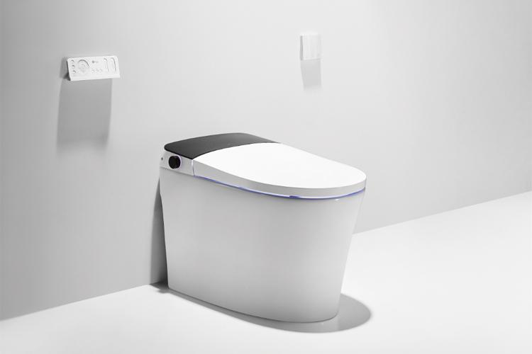 智能马桶的真实感受值得购买吗,东鹏智能马桶什么样子