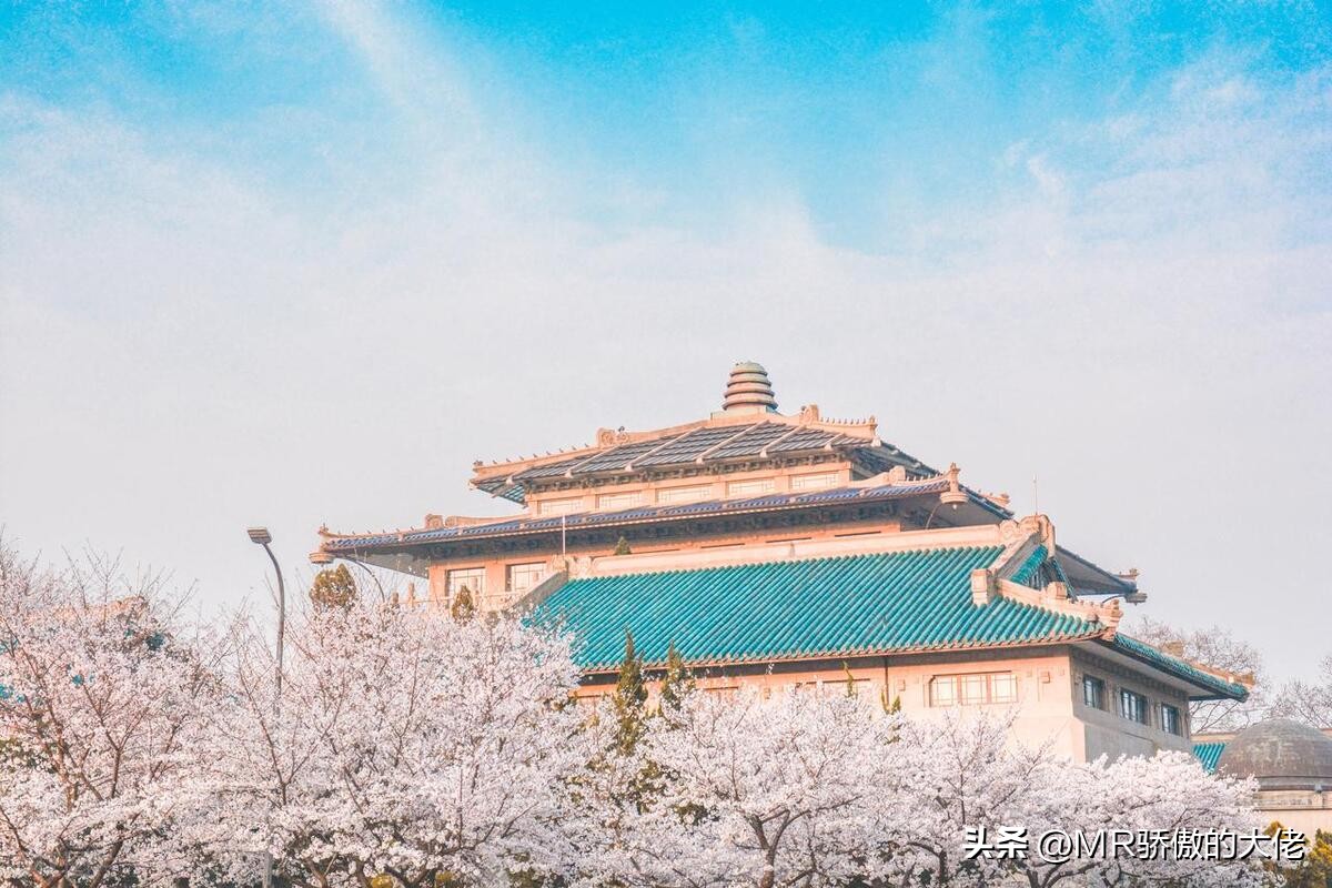 武汉与天津哪个城市好,天津武汉哪个城市繁华