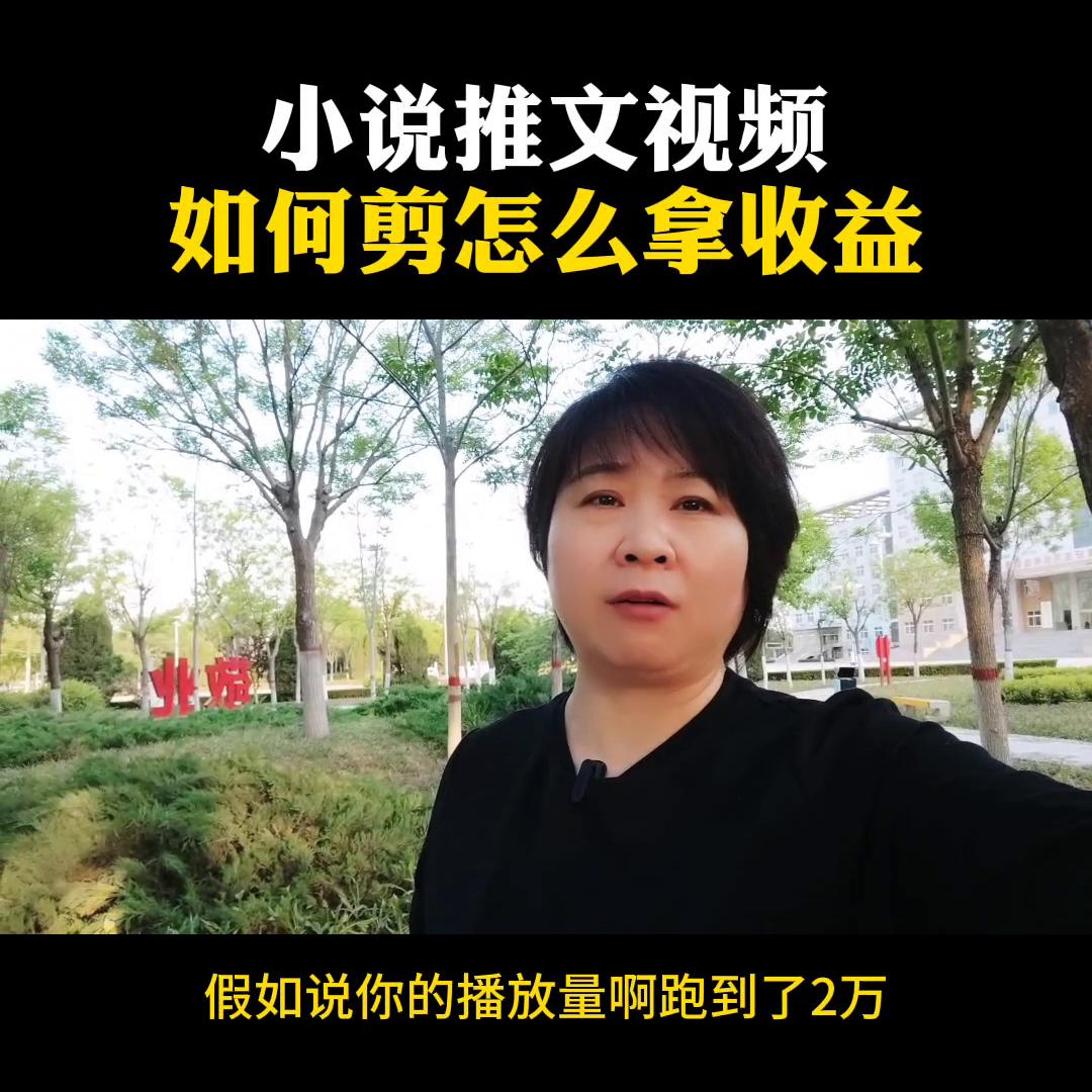 小说推文视频，如何剪怎么拿收益！详细教程分析那你给#经...
