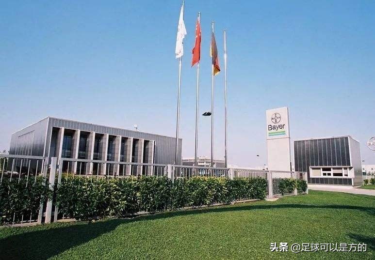 足球药厂是什么意思,足球药厂是哪个