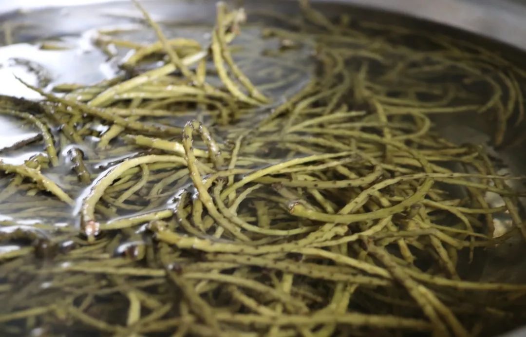 大理核桃花,大理赏花食花