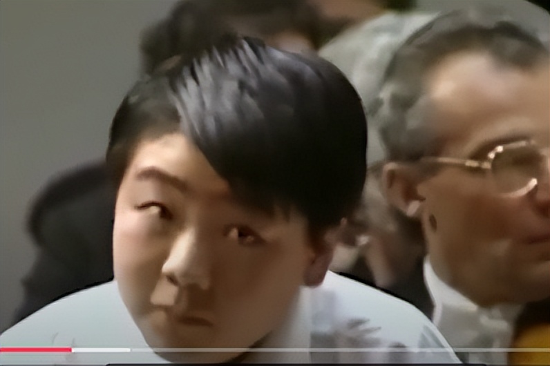 钢琴大师郎朗的成功之路是什么,钢琴家郎朗有多厉害