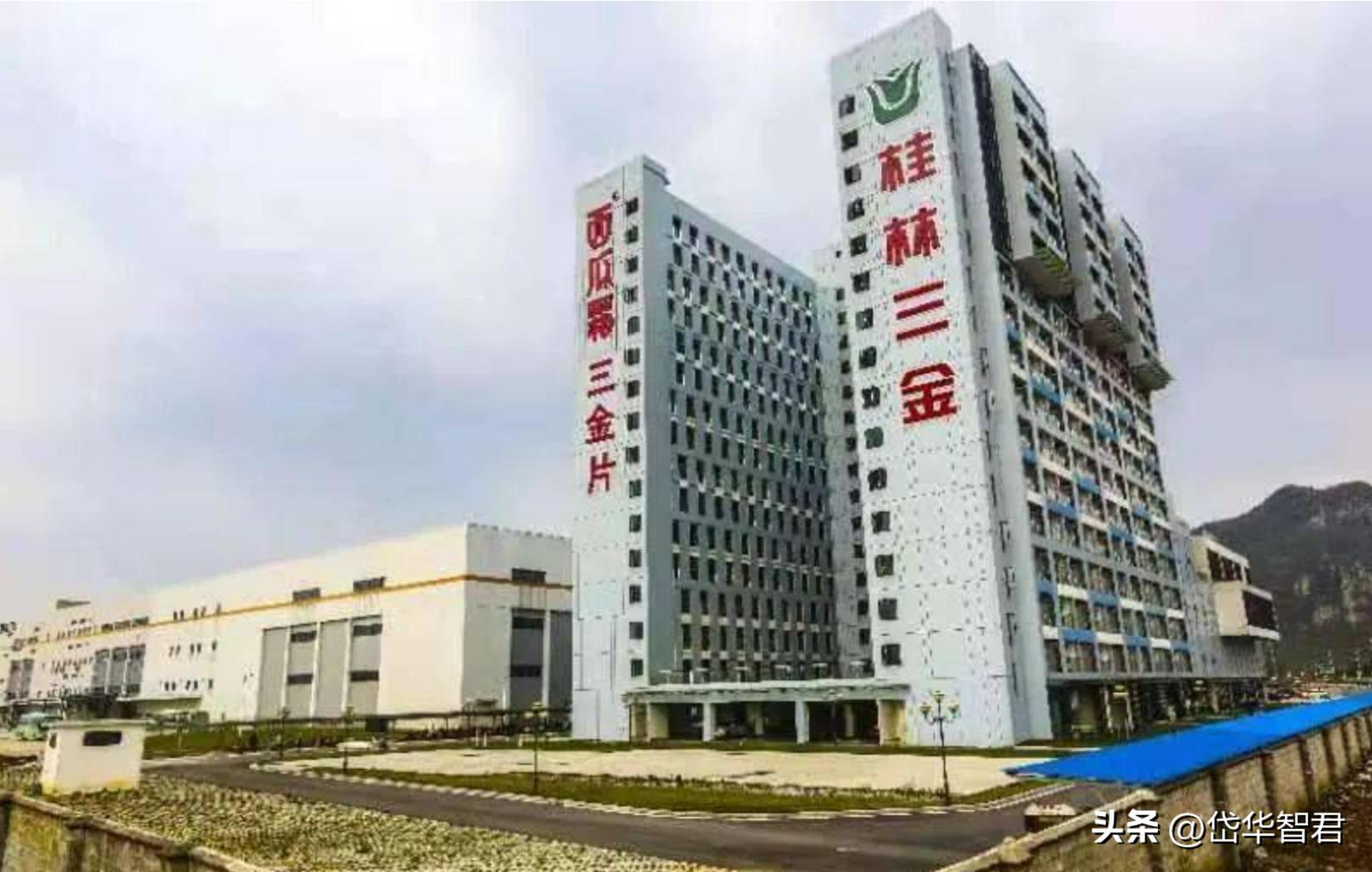 广西老牌中药企业，桂林三金：产品渠道双优化，一体两翼振翅飞