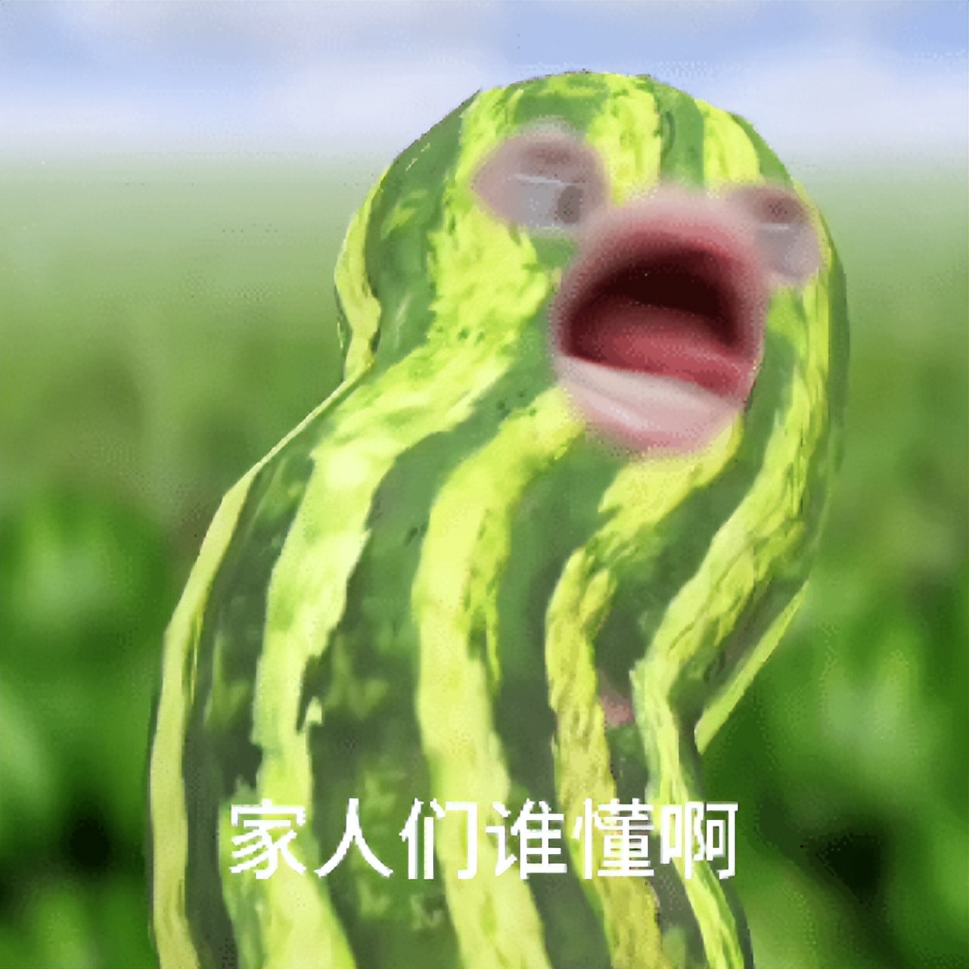 微信文件传输助手的内容会泄露吗,微信文件传输助手怎么移出黑名单