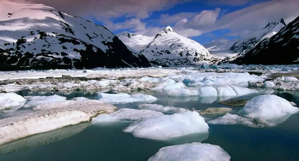 关于史前病毒的研究,史前巨型病毒是真的吗