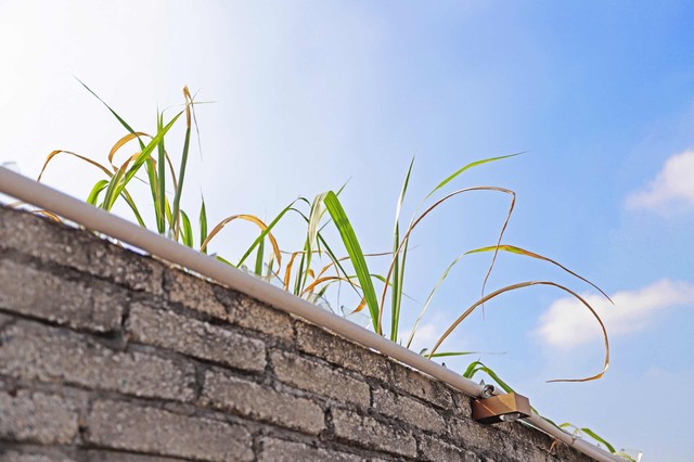 相亲男给我买护肤品,相亲让男生买卫生巾