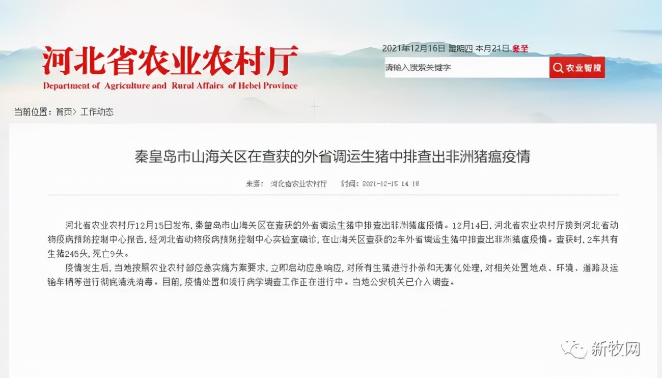 2020养猪业行情,养猪近几年行情