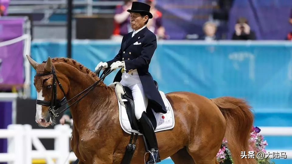 国家体育运动员从几岁开始培养,马术运动员十次参加奥运