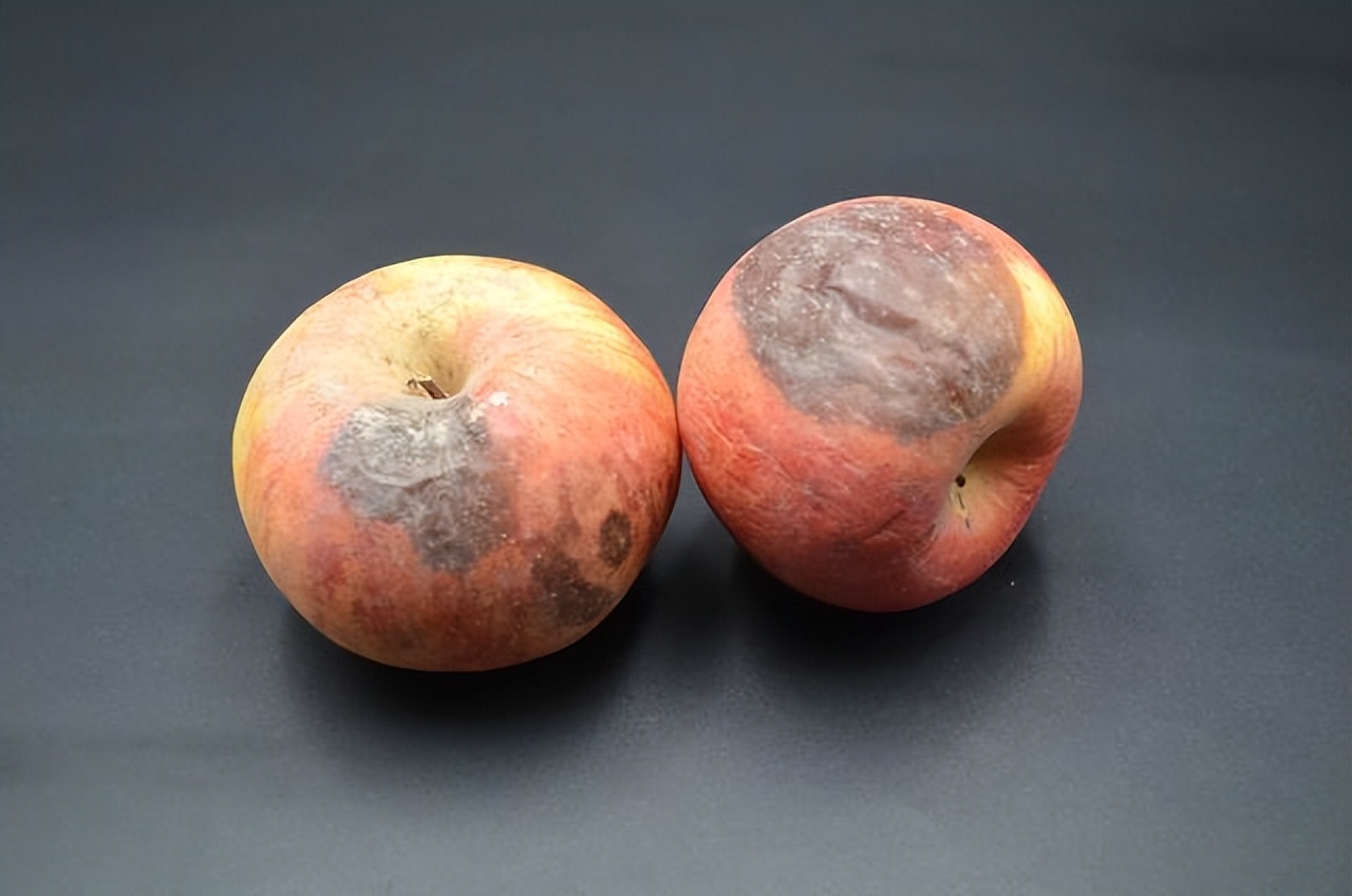 身上有异味是大病的前兆,人如果生大病了身上会有异味