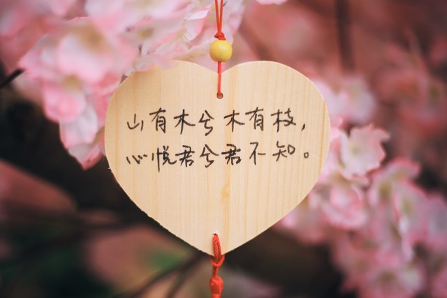 如何才能治疗受伤的心灵,如何治愈受伤的心书籍