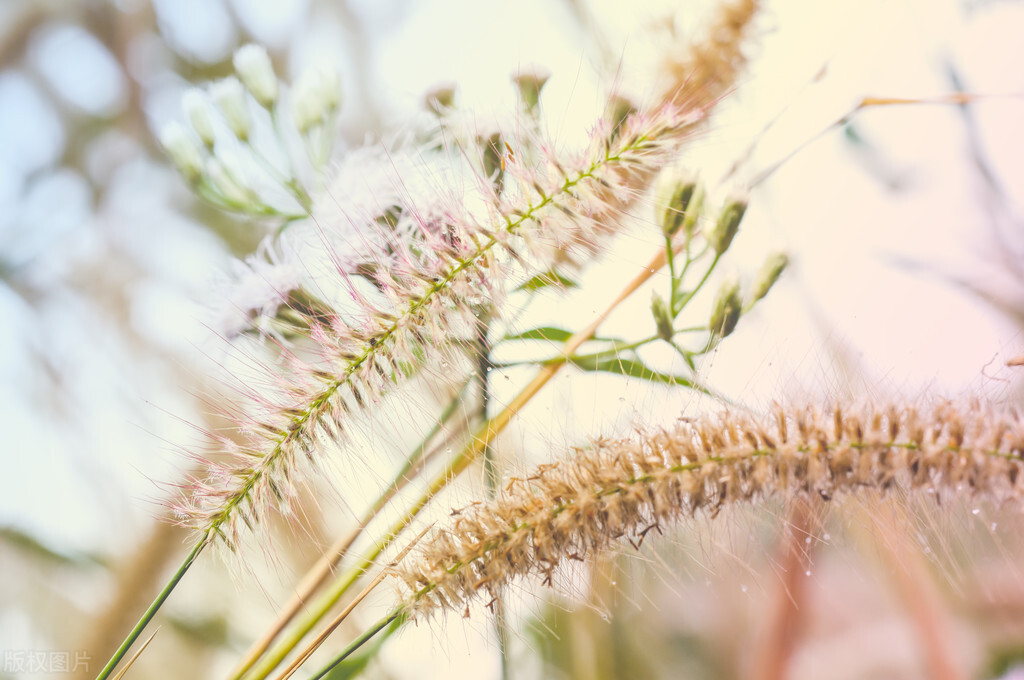 退休之后十件事千万不要再做了,退休了的人还继续工作是什么原因