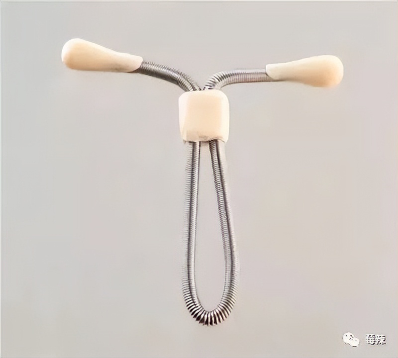 我的体内有一个地球,我的体内有个地球