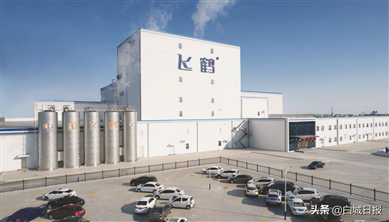 飞鹤奶粉全国表彰大会,飞鹤奶粉被国家评为国品之光