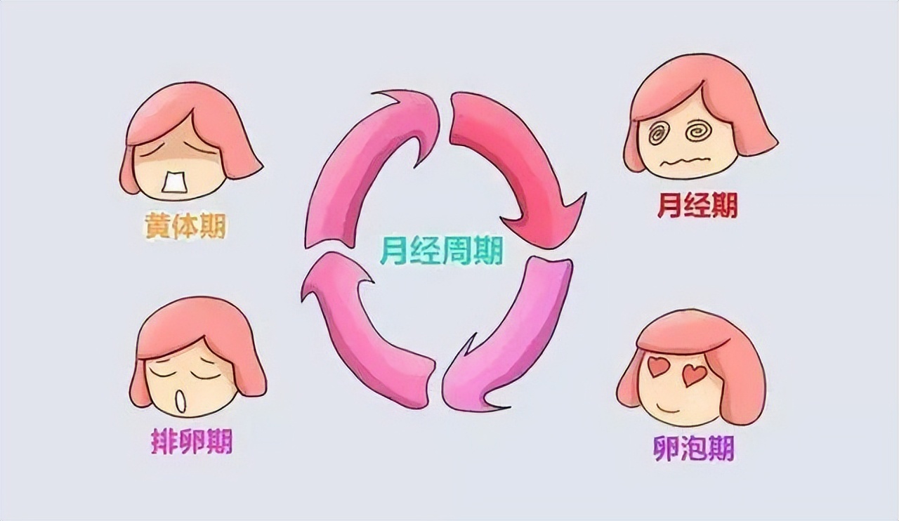 女性的安全期前7后8是什么意思,女生安全期前七后八是怎么算的啊