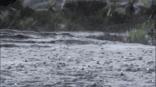 广东回南天地面潮湿解决方法,倒春寒下雨怎么补救