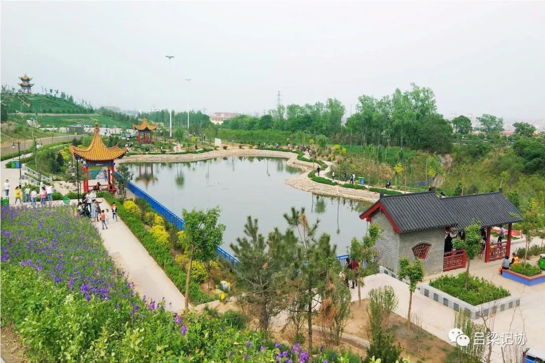 我的吕梁我的城微视频,我的吕梁我的城作品征集