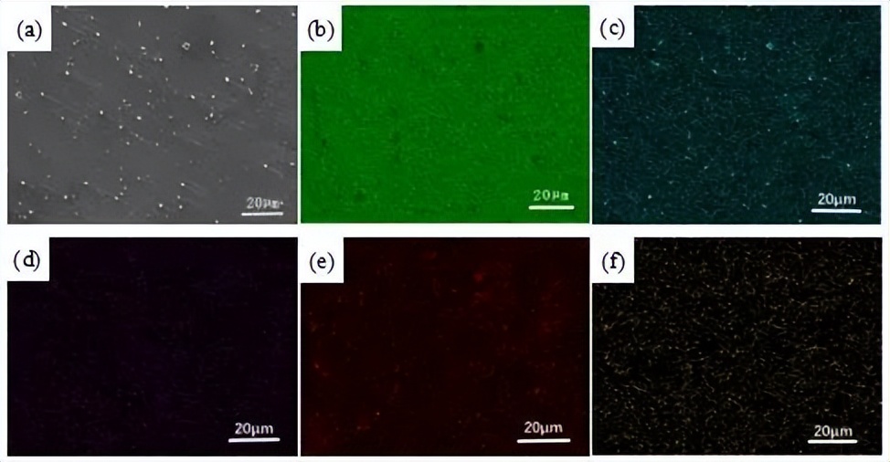 中北大学赵宇宏教授团队:石墨烯纳米片/AZ91D镁基复合材料腐蚀行为研究