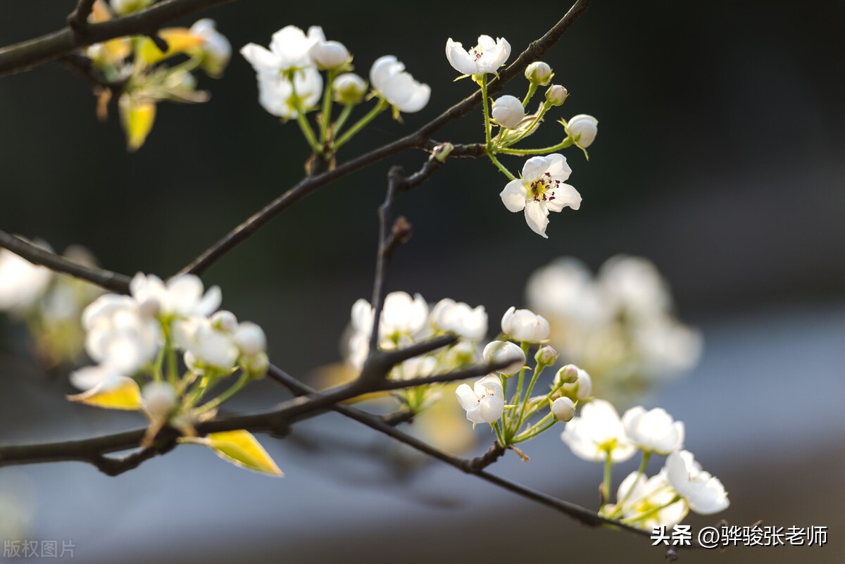 八大美院有985和211吗,八大美院有几个985院校