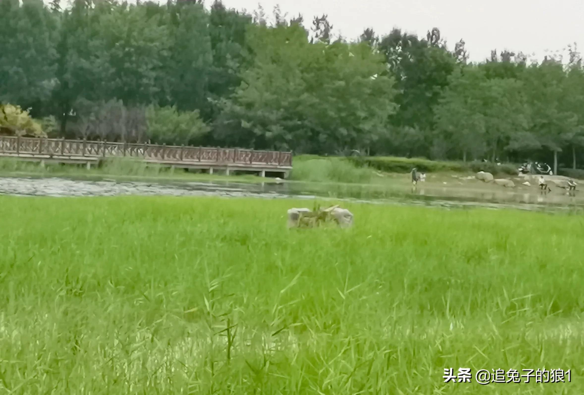 孔子曰己所不欲勿施于人什么意思,正如孔子说己所不欲勿施于人