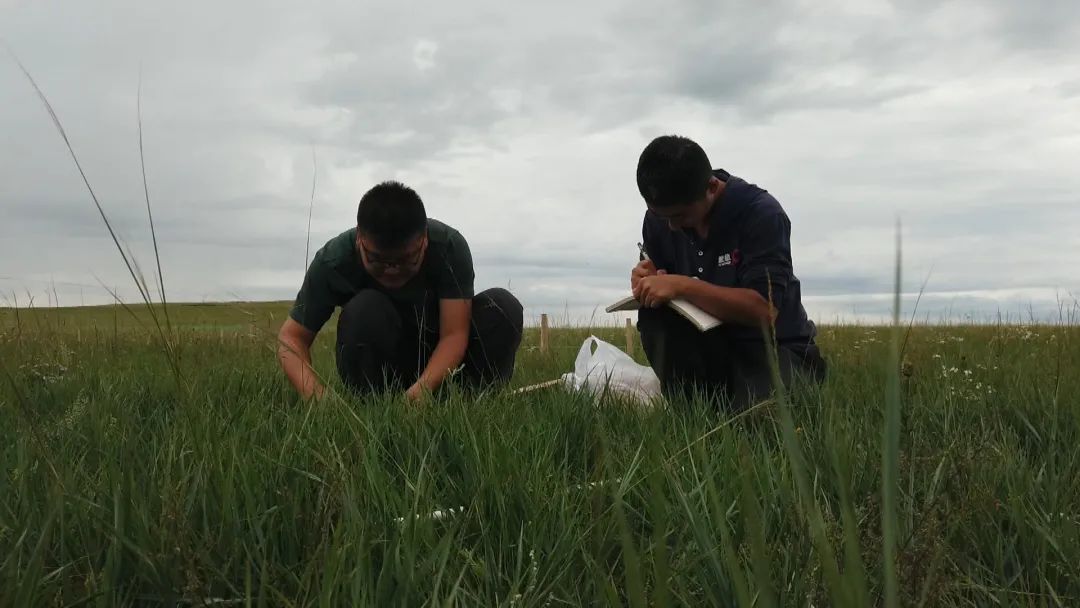 全区首笔！好生态能“变现”空气也可以抵押*款贷**