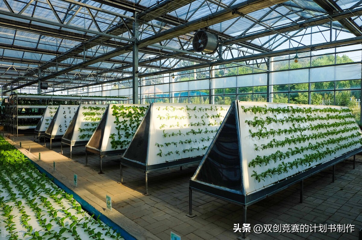 双创赛道分析,双创比赛热门项目