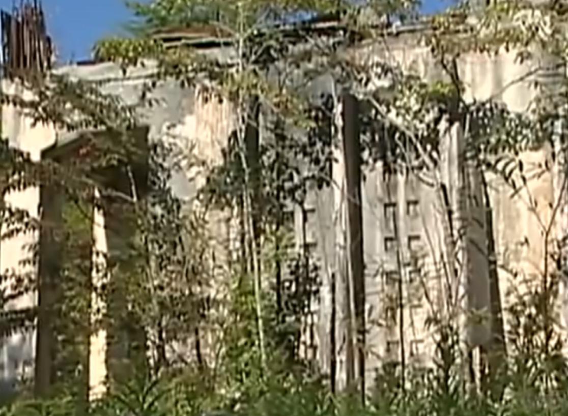 丁尚彪在日本干什么,丁尚彪打黑工纪录片