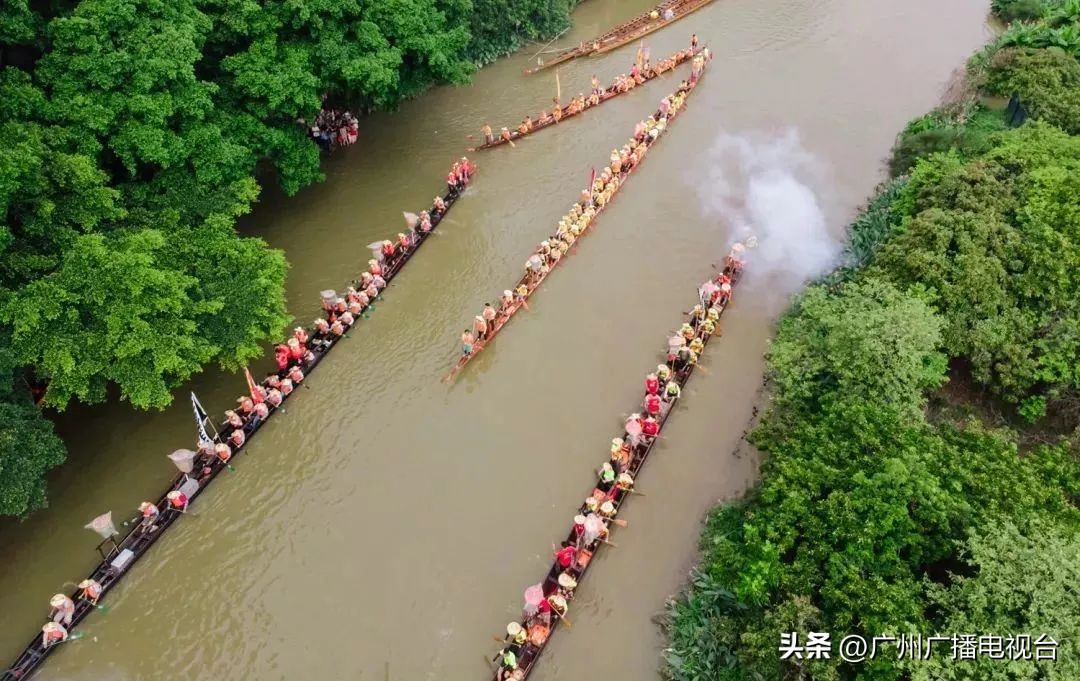 广州多区“睇龙船”超全指南,广东“睇龙船”指南来了