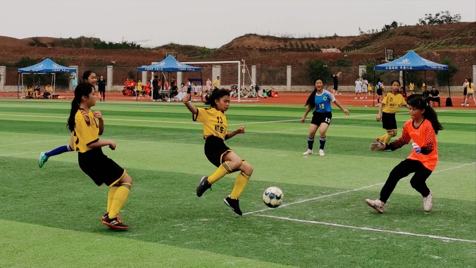 喜讯：硕果累累，载誉而归