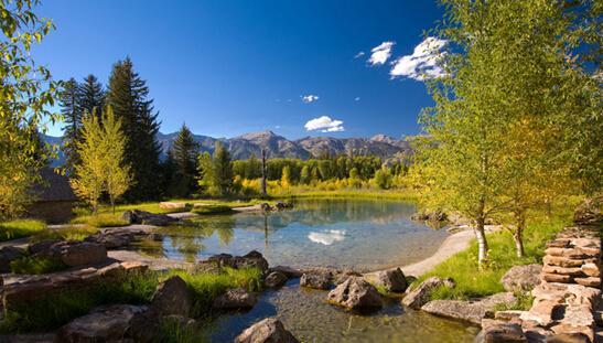 师徒情作文,师徒情深感人的文章