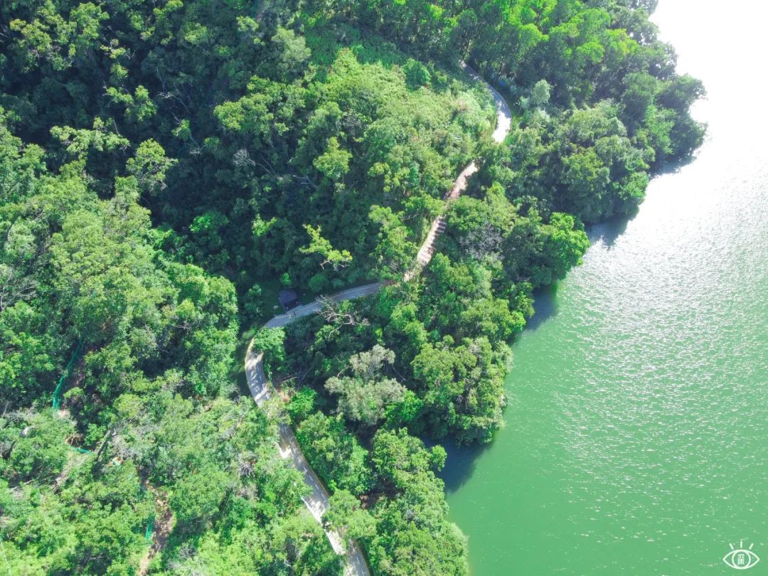 深圳最值得去的十个地方,深圳吃货必去的地方