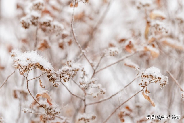 冬天吃什么饭驱寒最快,冬天驱寒气最佳方法