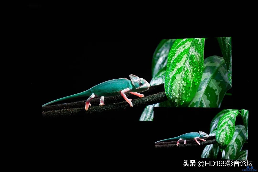 jvcn98和jvcn118实际效果差别大吗,jvcn118配什么幕布