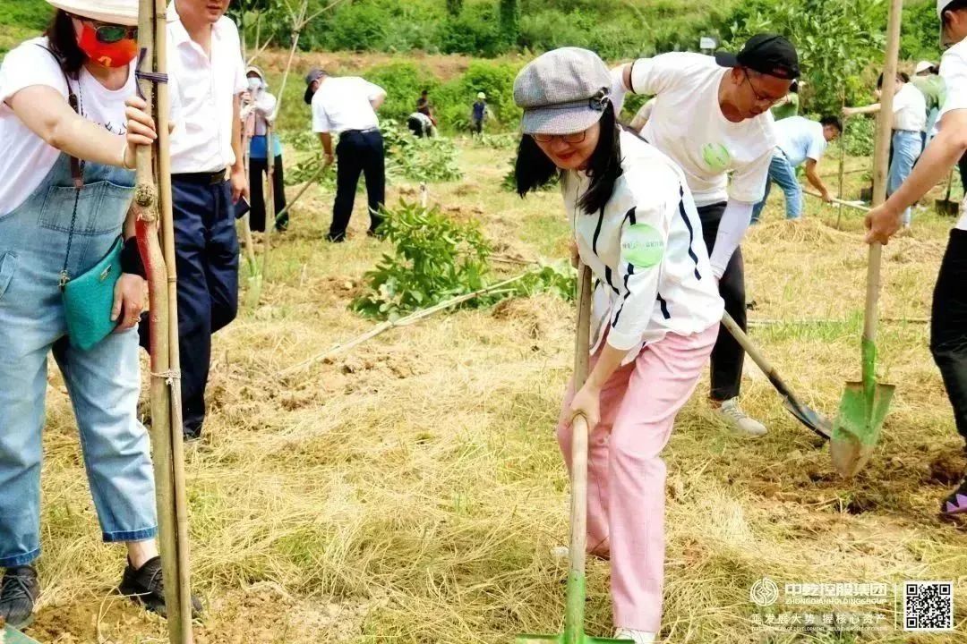 中乾控股集团积极助力绿美广东建设同植企业长青林