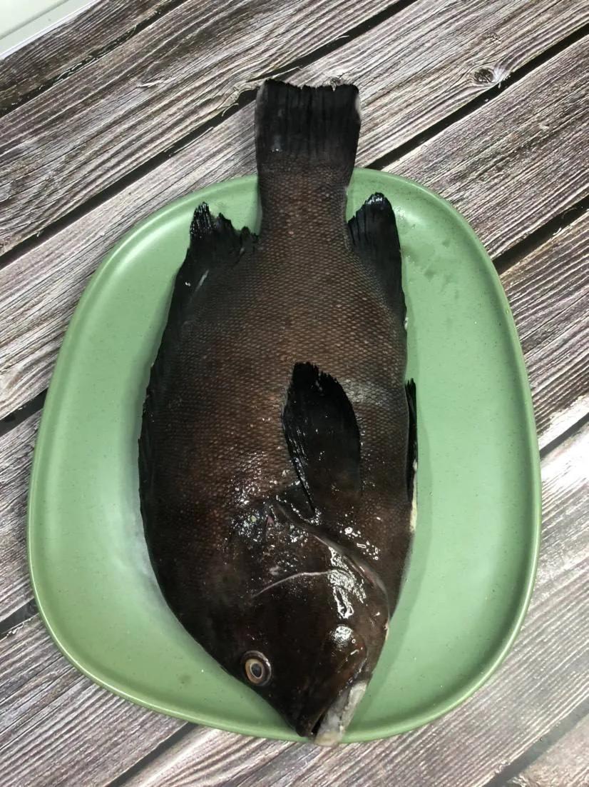 鱼类食材大全名称图片,鱼类菜谱大全100种