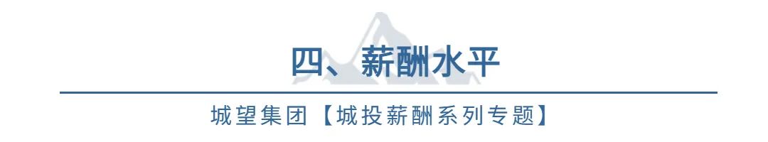 城投涨薪制度,城投薪酬改革