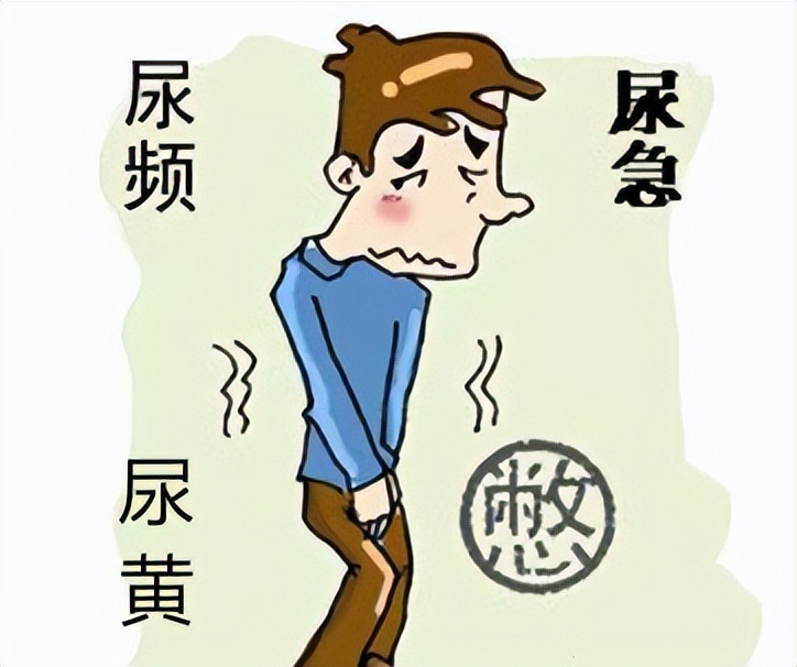 尿频尿不尽是肾阴虚怎么治疗,肾虚脾虚尿频用什么中药