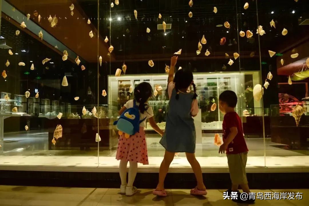 青岛森林野生动物世界等新区四家4*级A**景区免门票！（附假期游玩全攻略）